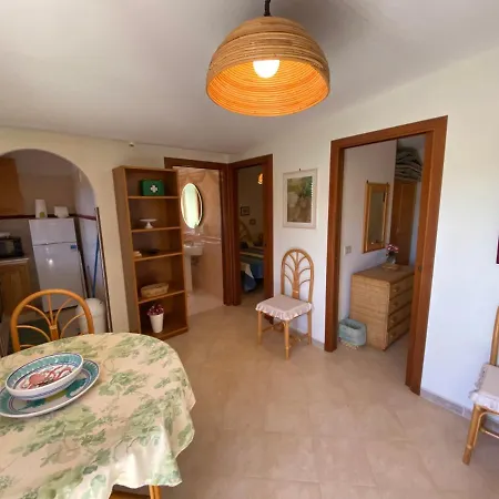 Paloma Villa