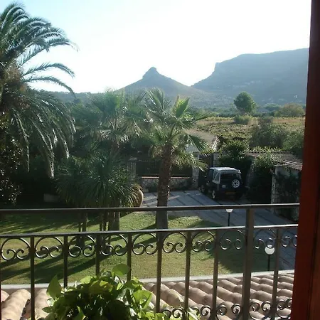 Paloma *